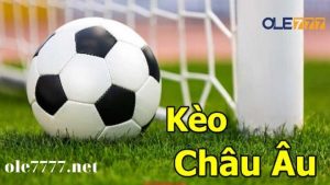 đọc kèo bóng đá