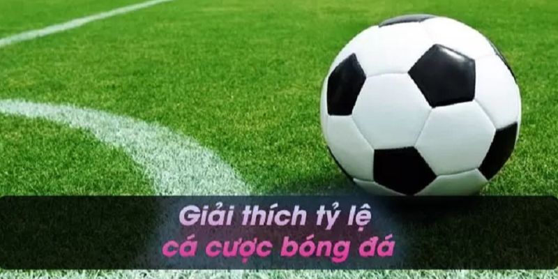 ty-le-keo-ca-cuoc