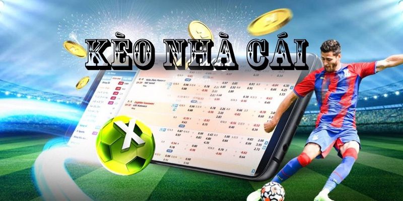 Tỷ Lệ Kèo Nhà Cái Trực Tuyến Và 3 Loại Kèo Phổ Biến