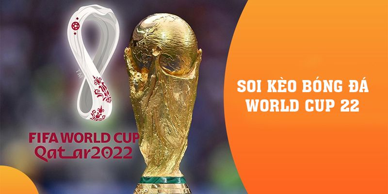 Soi Kèo Bóng Đá World Cup 22 Mới Nhất Ngày 29/11