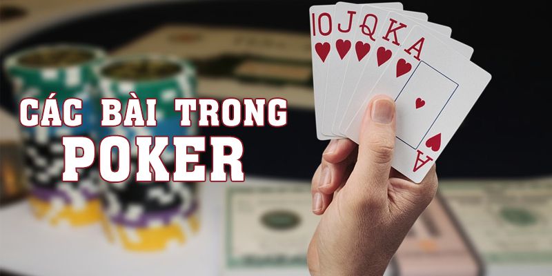 Các Bài Trong Poker Với 4 Dạng Bài Bạn Cần Tránh