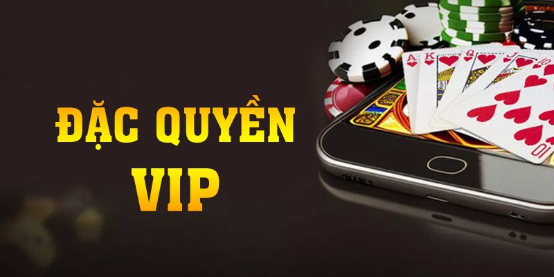 Đặc Quyền VIP - Khuyến Mãi Hấp Dẫn Nhất Năm 2024