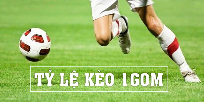 Tỷ Lệ Kèo 1Gom - Cách Đọc Kèo 1 Gom Chuẩn Xác 2024